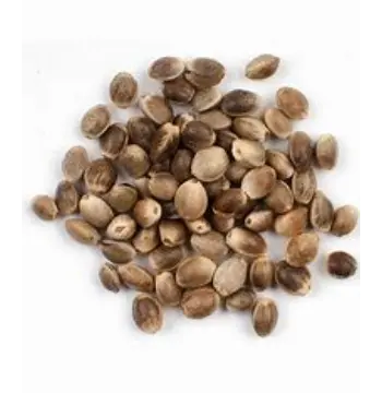 Natural Hemp  Seeds